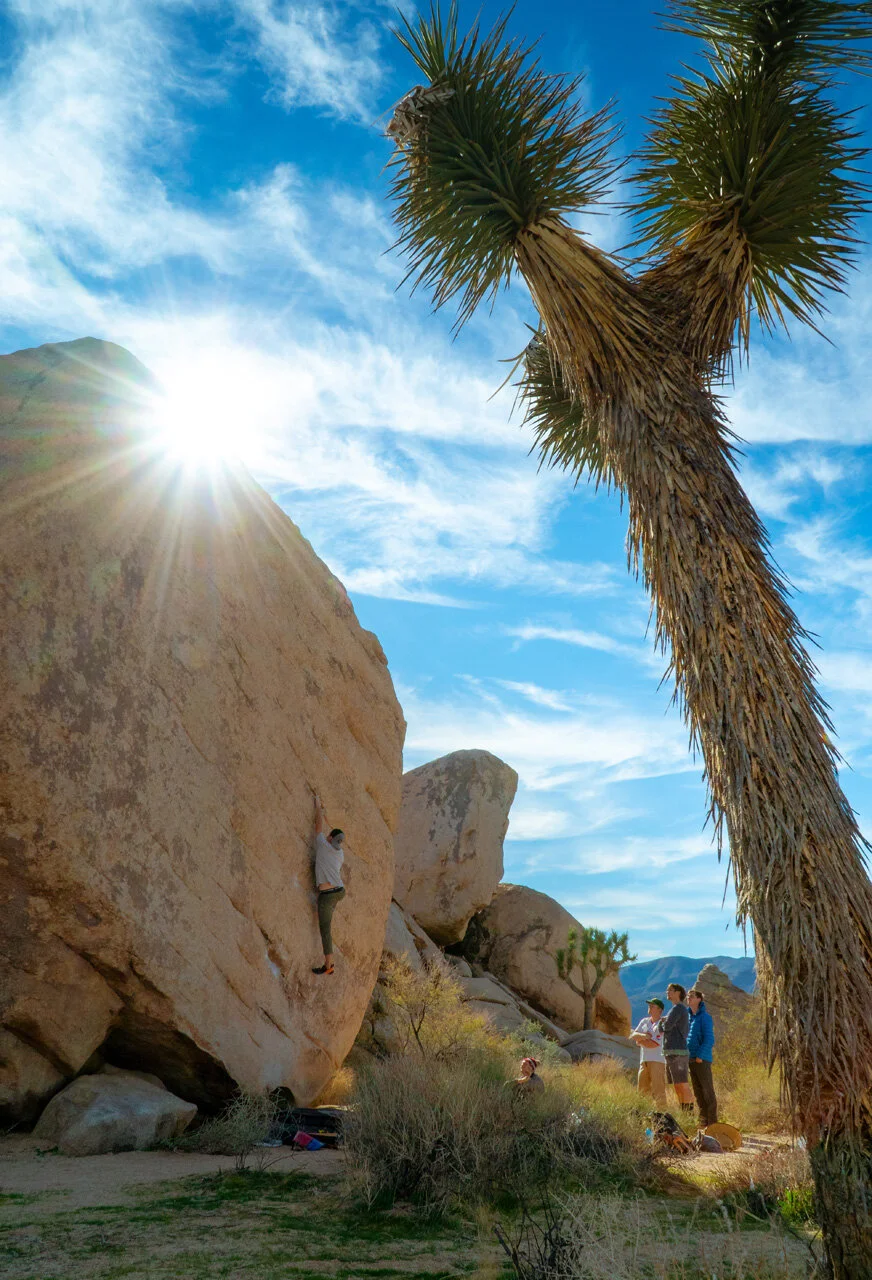 001_JoshuaTree_Winter_2018_20181218.jpg