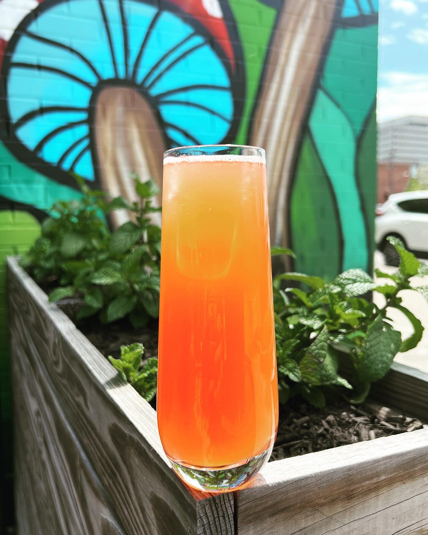 The Ros&eacute; Mom-mosa is back!!! Aperol, Orange juice and our Ros&eacute; cider!! Stop in to Craft and sipping one on our patio on this beautiful Mother&rsquo;s Day 🌺 

#craftcollectivevanaken #vanakenmarkethall #vanakendistrict #shakerheights #m