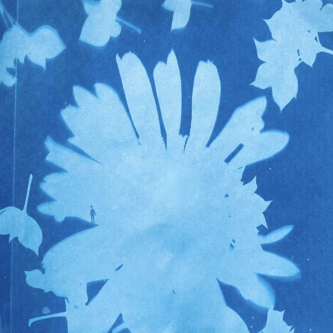 Cyanotype 4.jpg