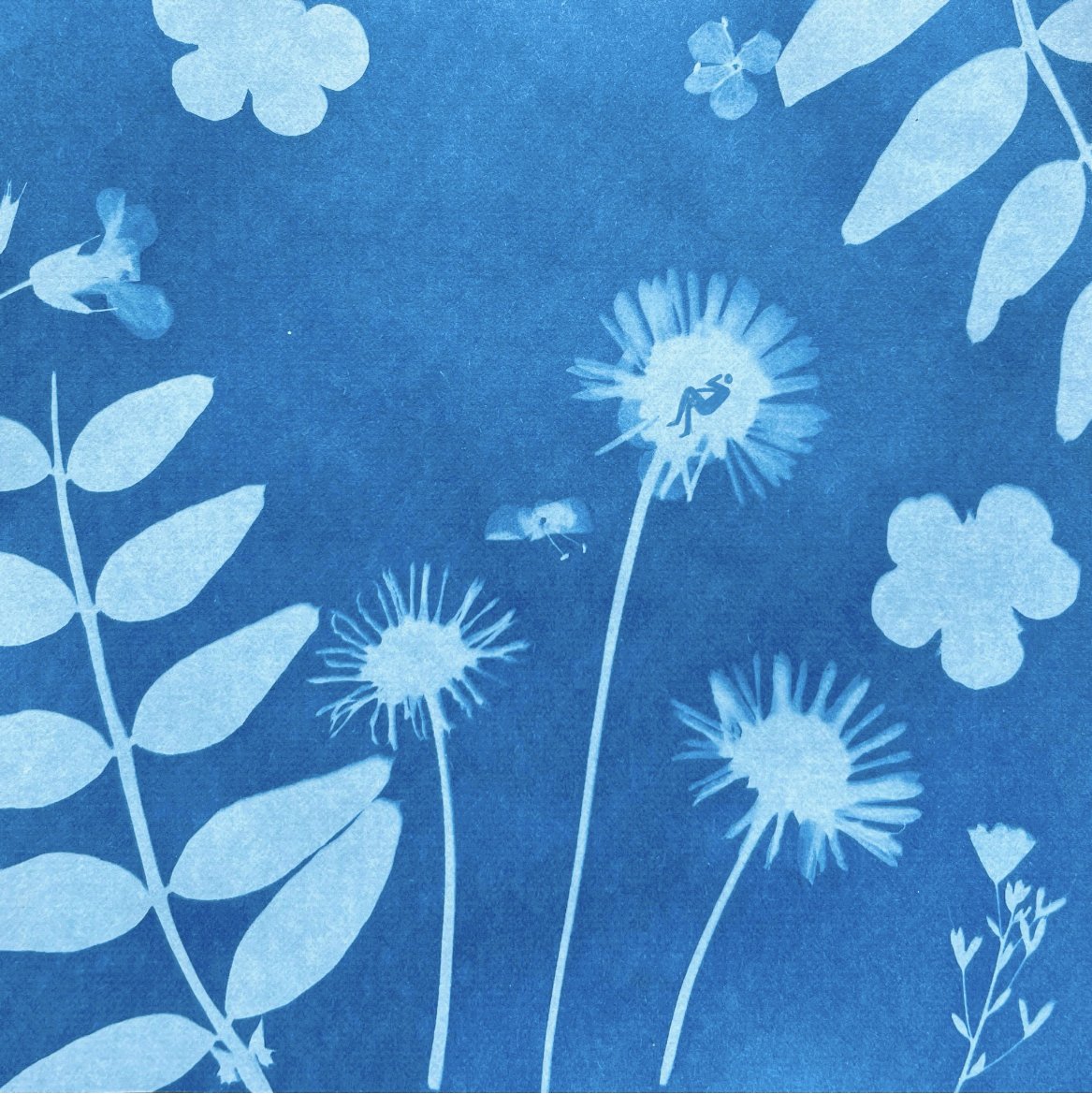 Cyanotype 1.jpg