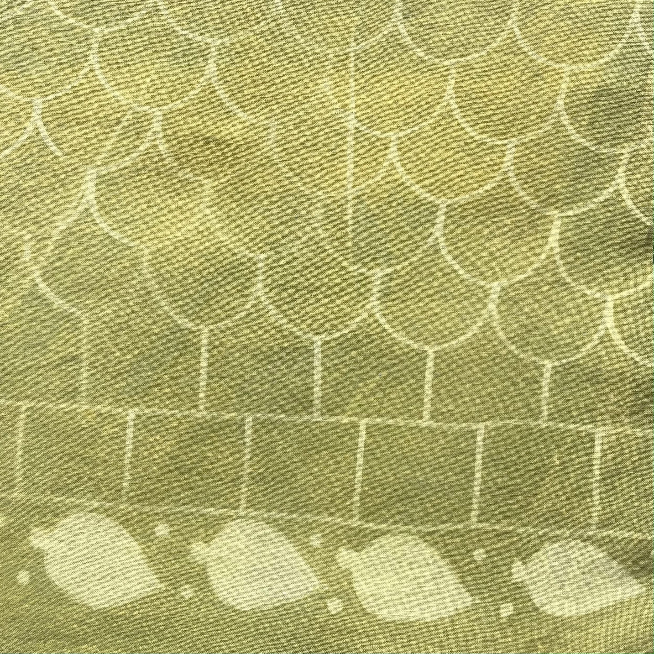 FullSizeRender 8.JPG