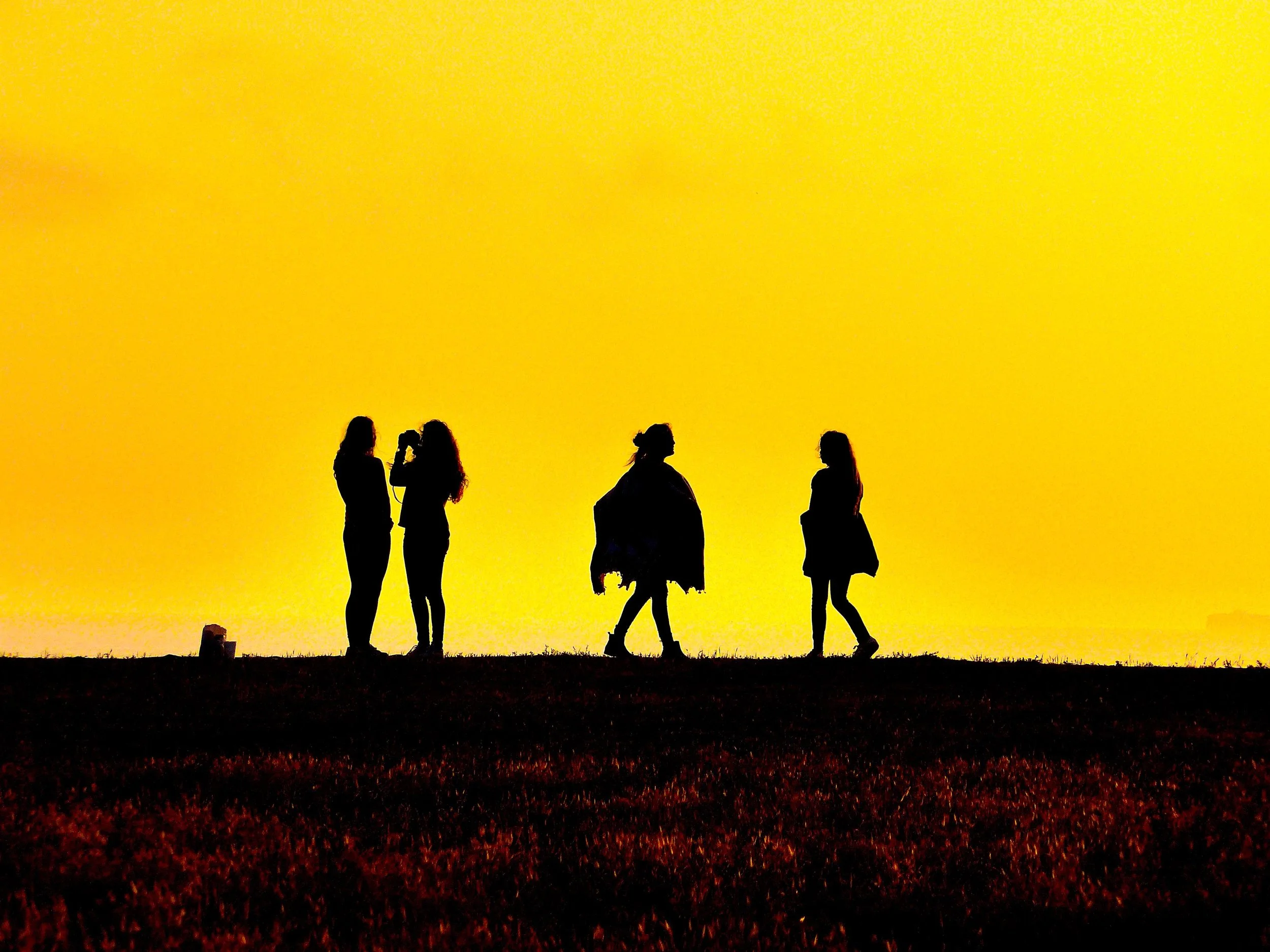Seaside Strangers