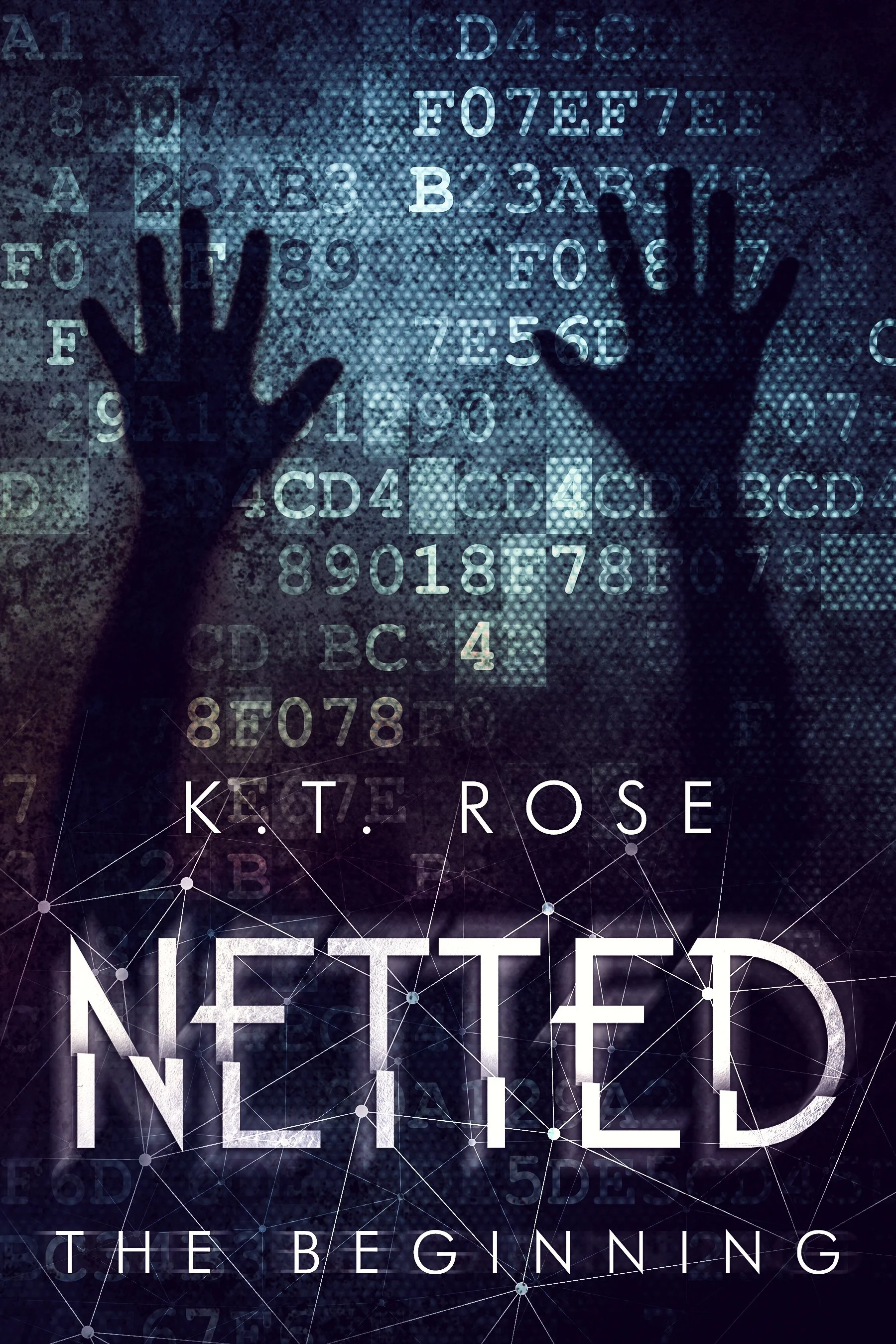 The Beginning- The Netted Serial Killer Thriller Series