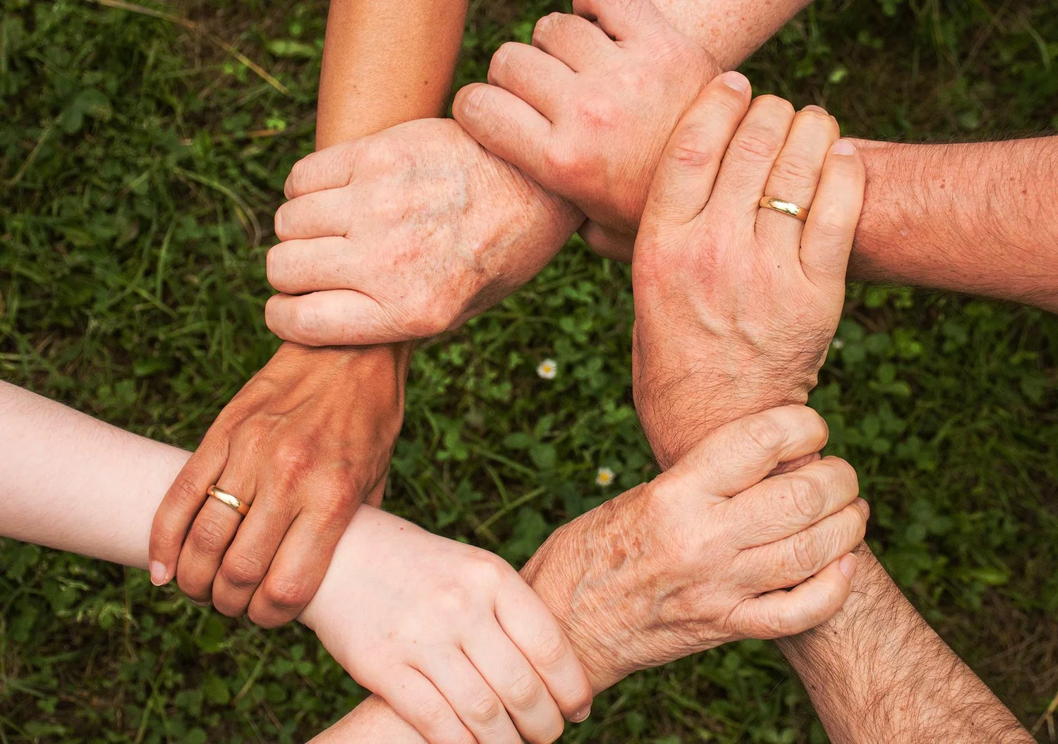 Family Support Groups — NAMI Marin