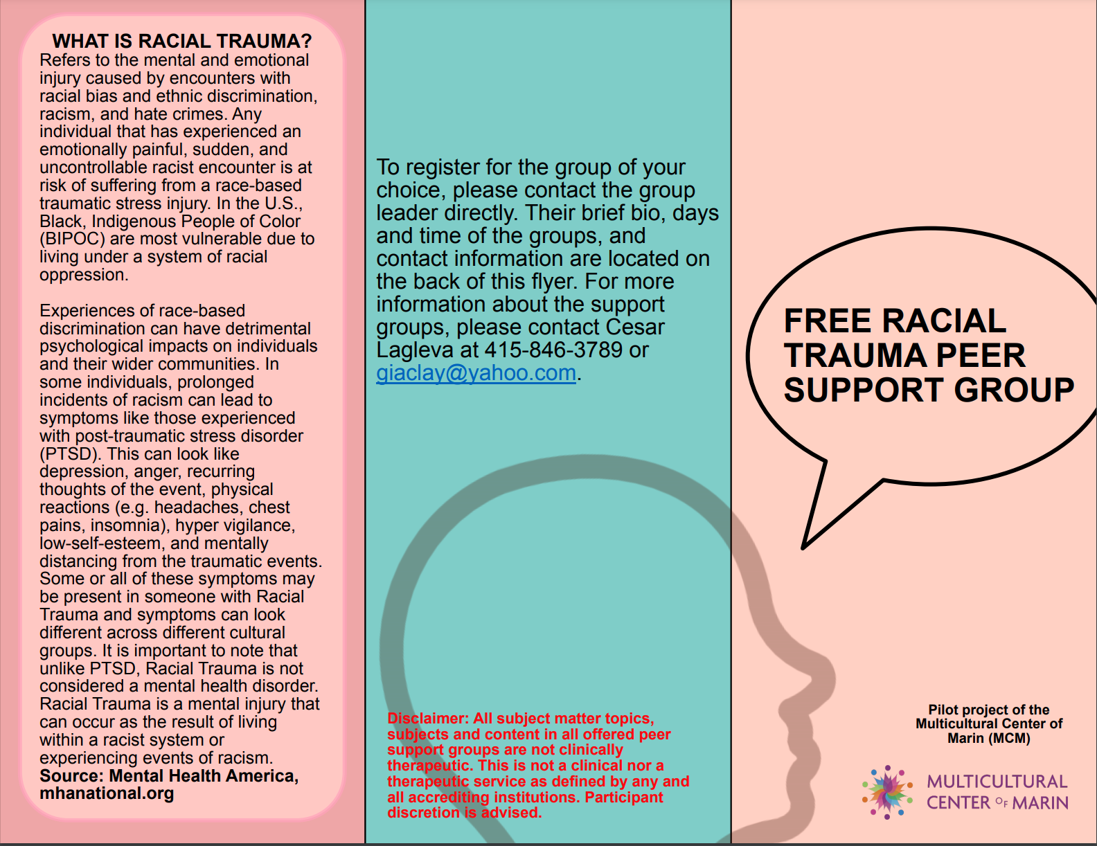 Free Racial Trauma Peer Support Group Nami Marin