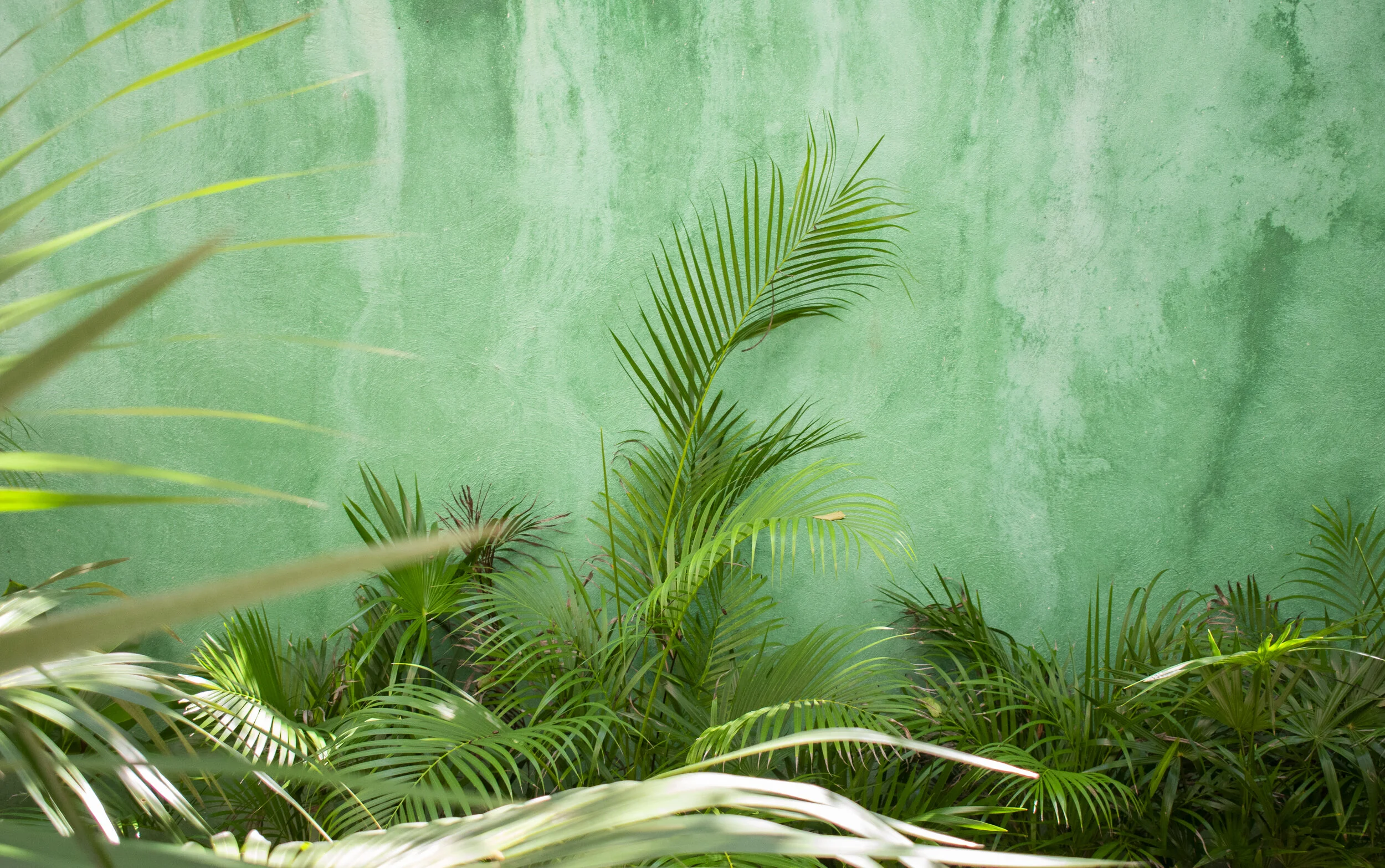 tulum_5.JPG