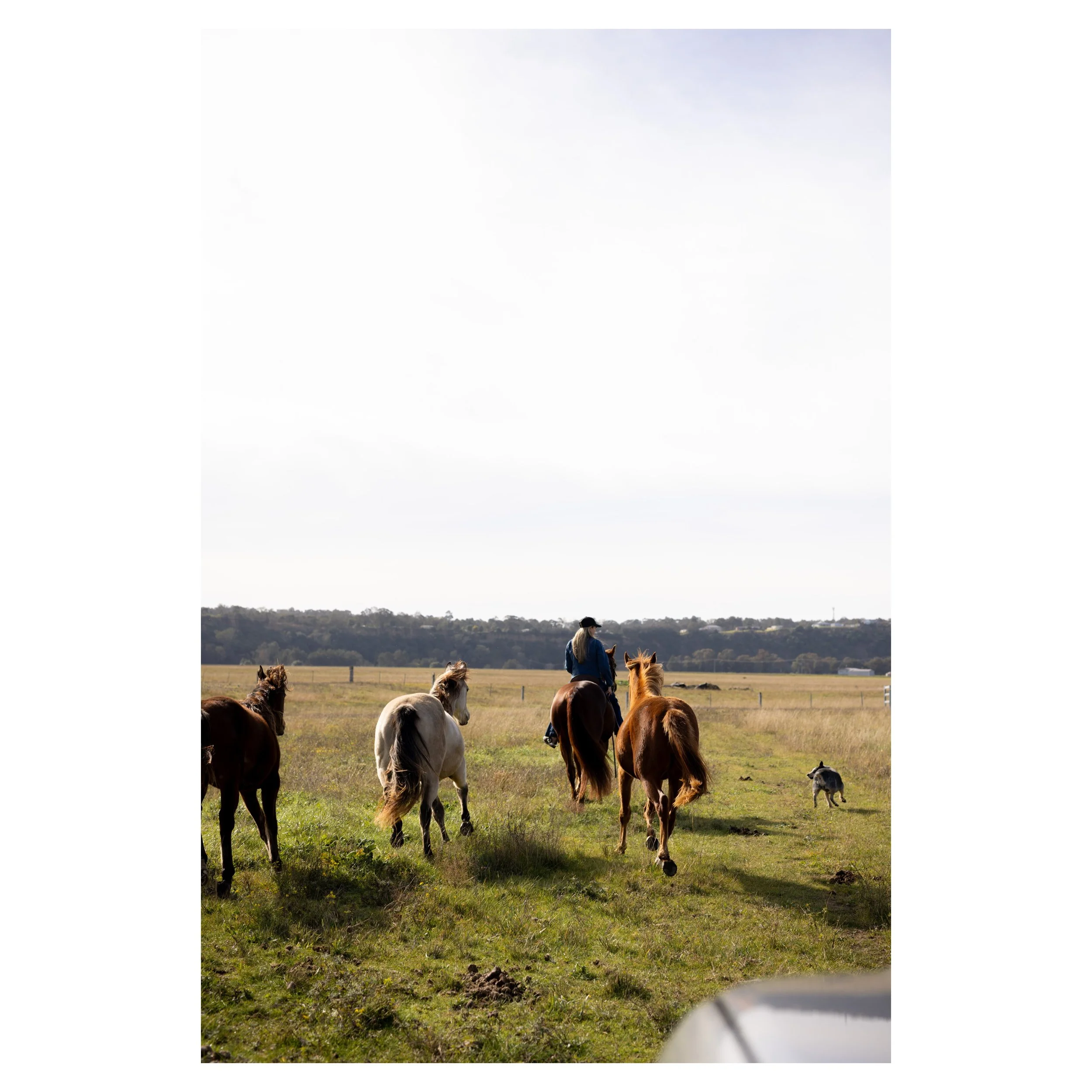 Whitagram-Image 3.JPG