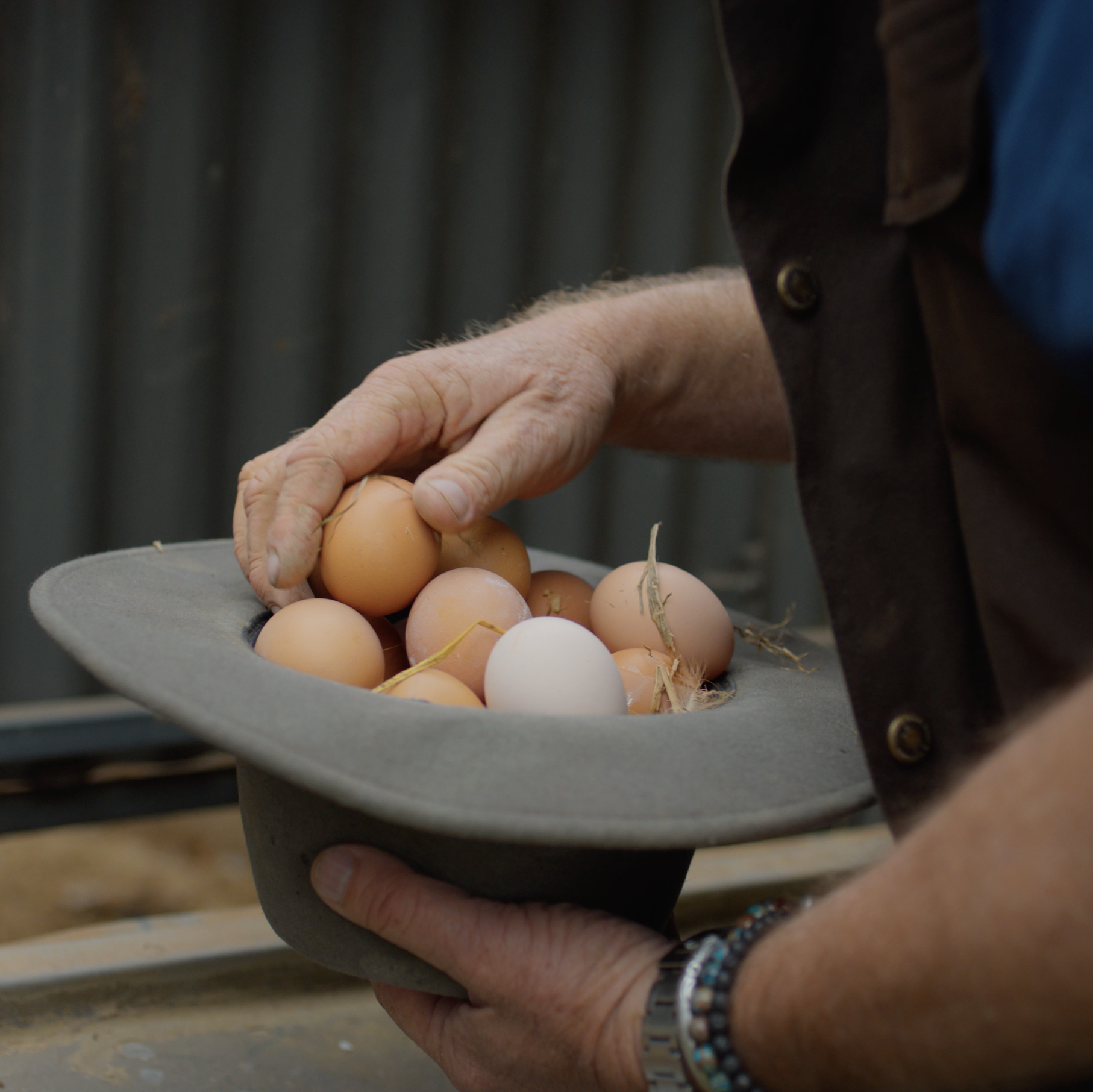 Close-up of a hand holding a gray bowl filled with brown and white eggs, against a blurred outdoor background.