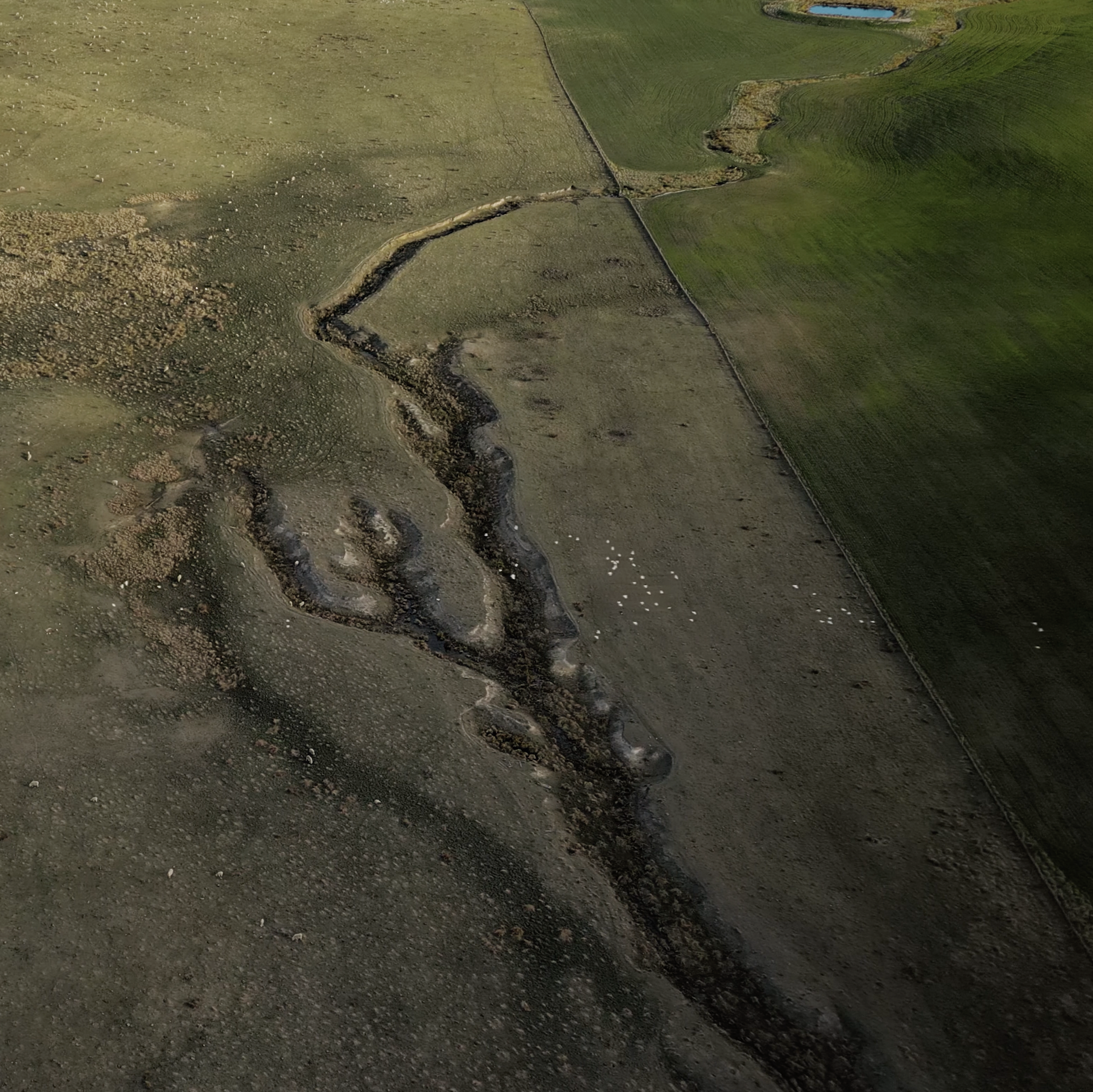 Aerial view of farmland with a prominent winding dirt road cutting through fields on the right and left sides, with some green and some dried or barren areas.
