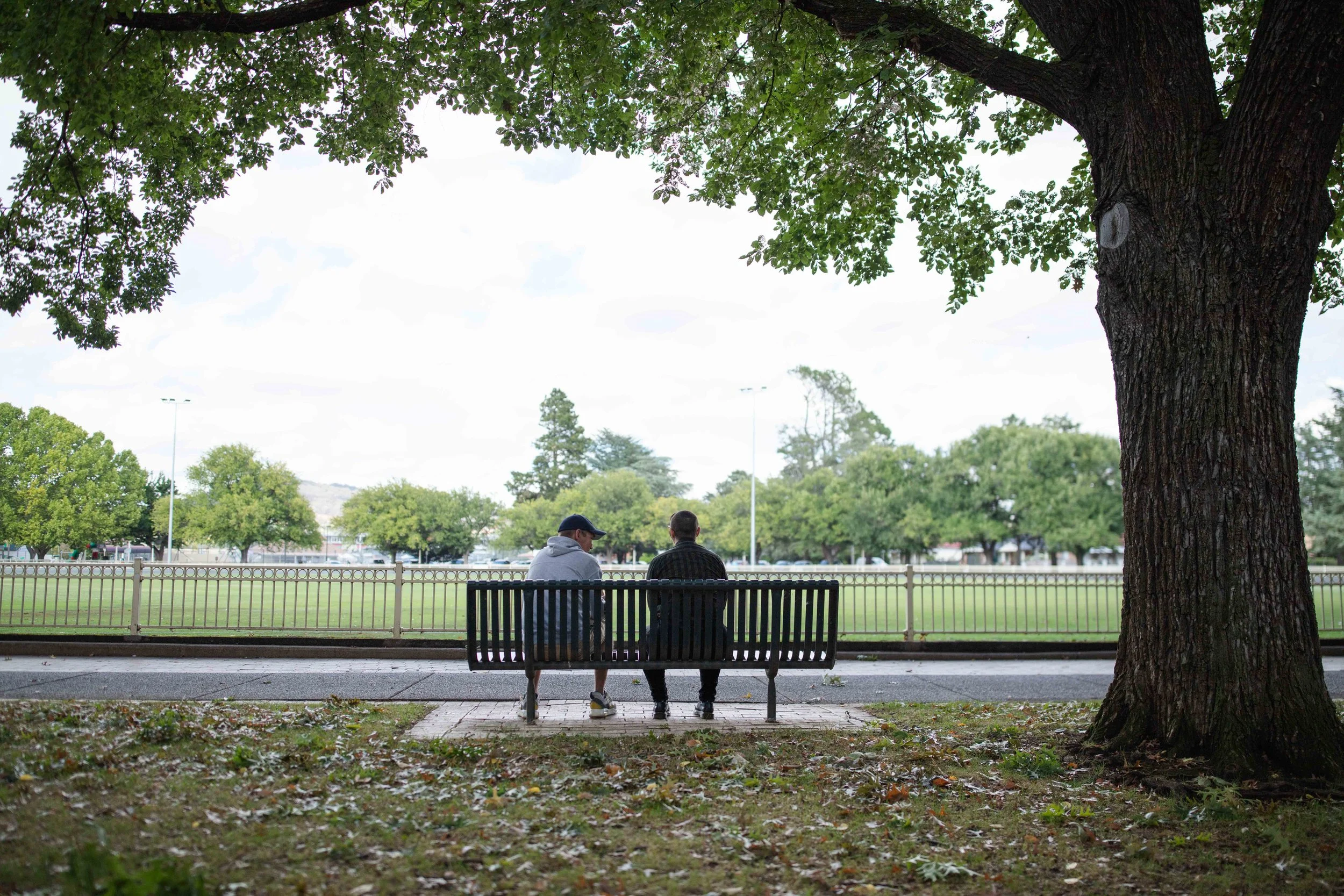 Two people sitting on a park bench under a large tree in a park, with green trees and cloudy sky in the background.
