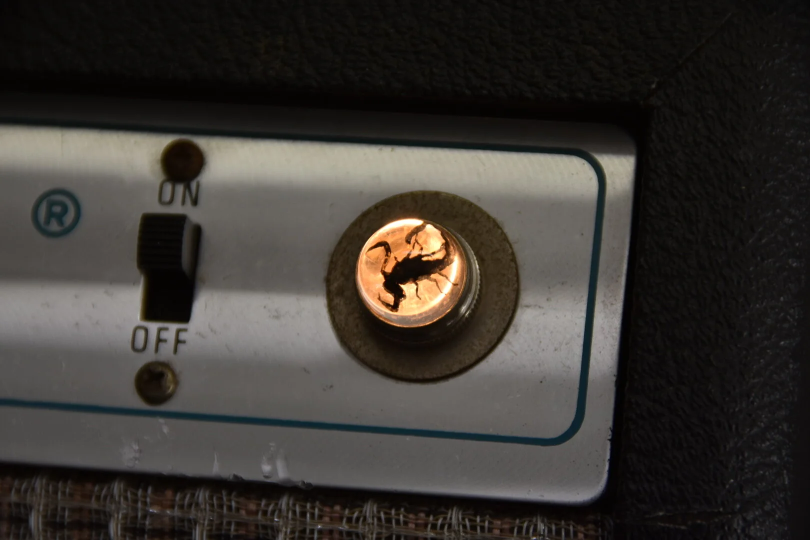 A6F7662A-BD94-49BF-A0C7-81268955512E