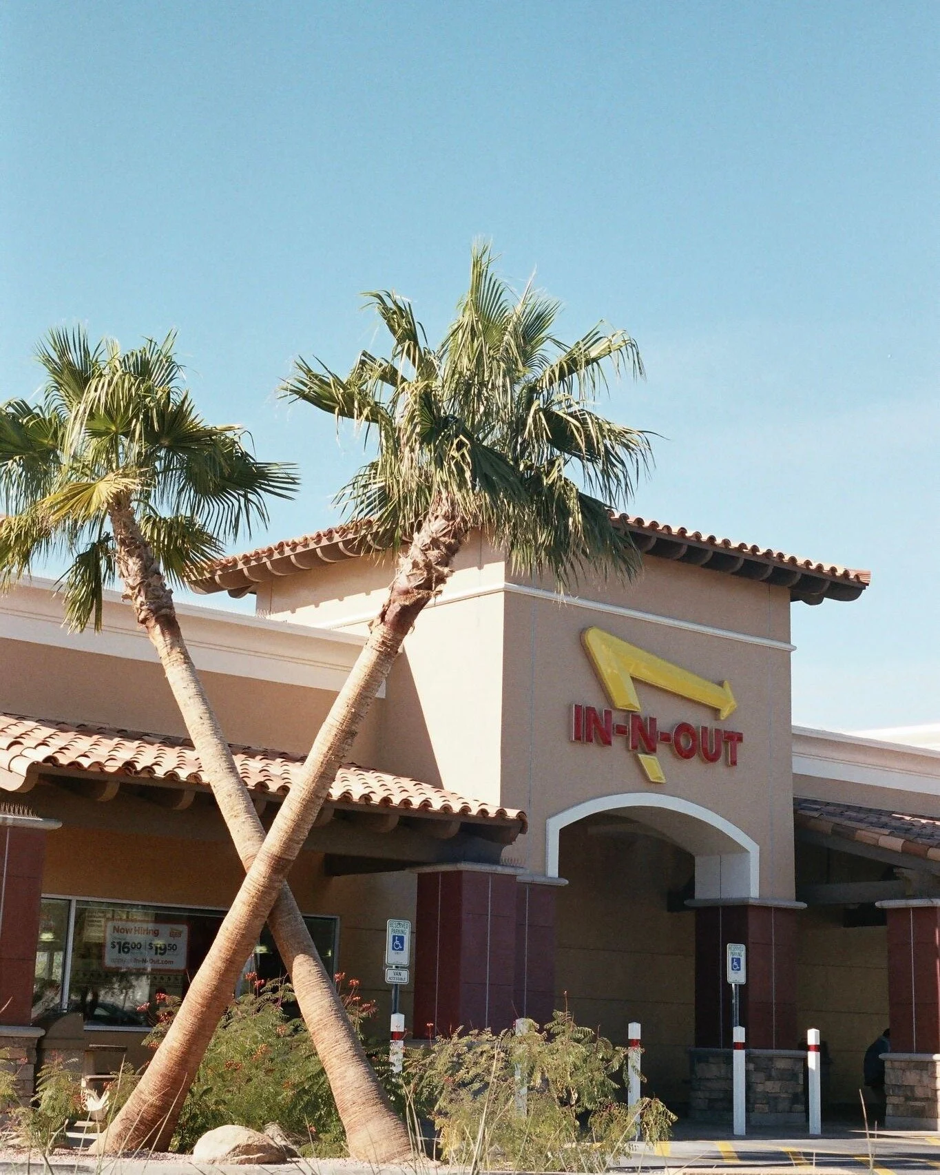 In-n-Out on film 🙃 (swipe) #35mm 

 #filmcamera #film #filmphotographer