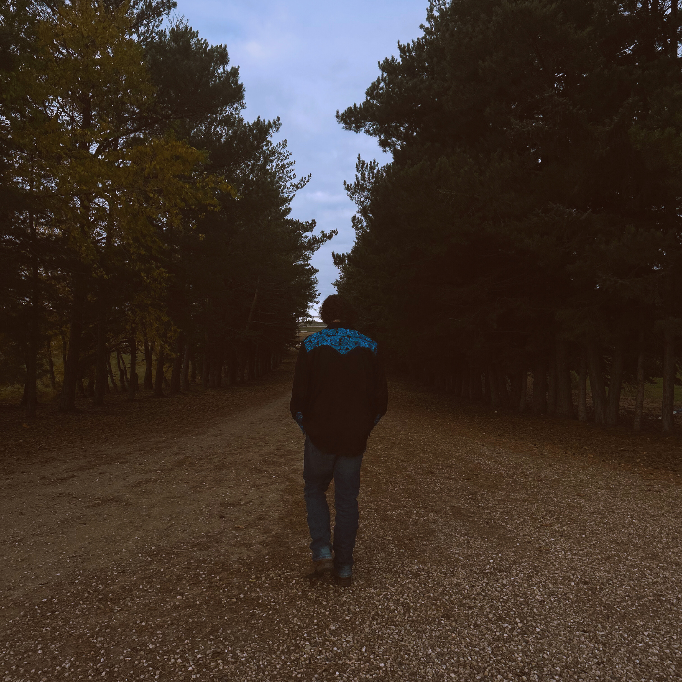 Full Song Cover 2-2.png