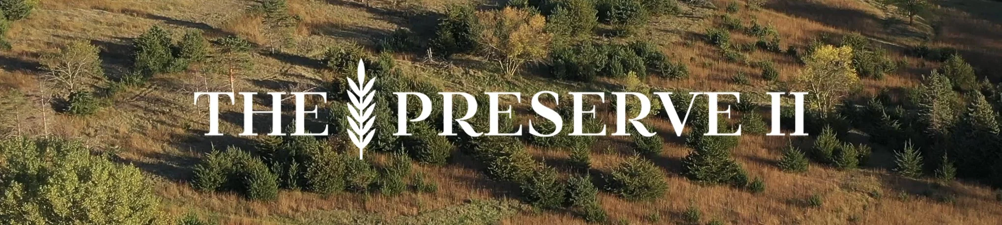 The Preserve II