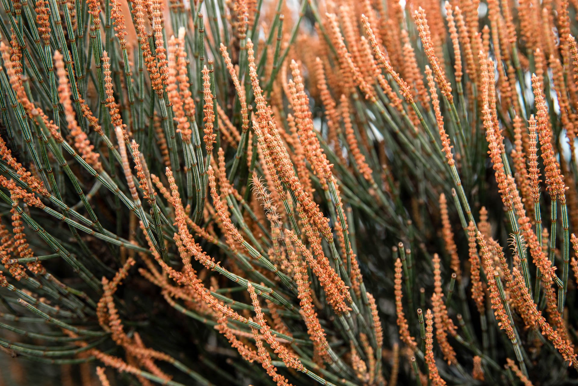 JB0_8697-1.jpg
