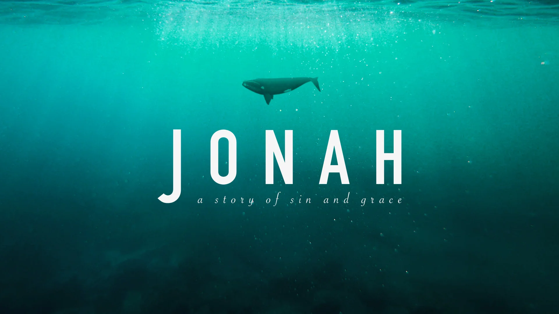 Jonah: A Story Of Sin &amp; Grace