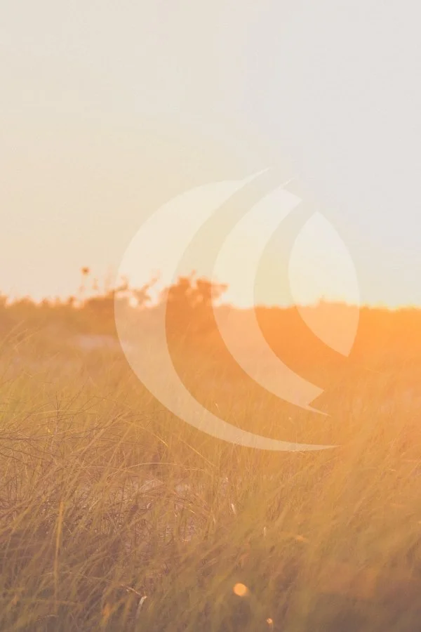 Untitled design (23).jpg