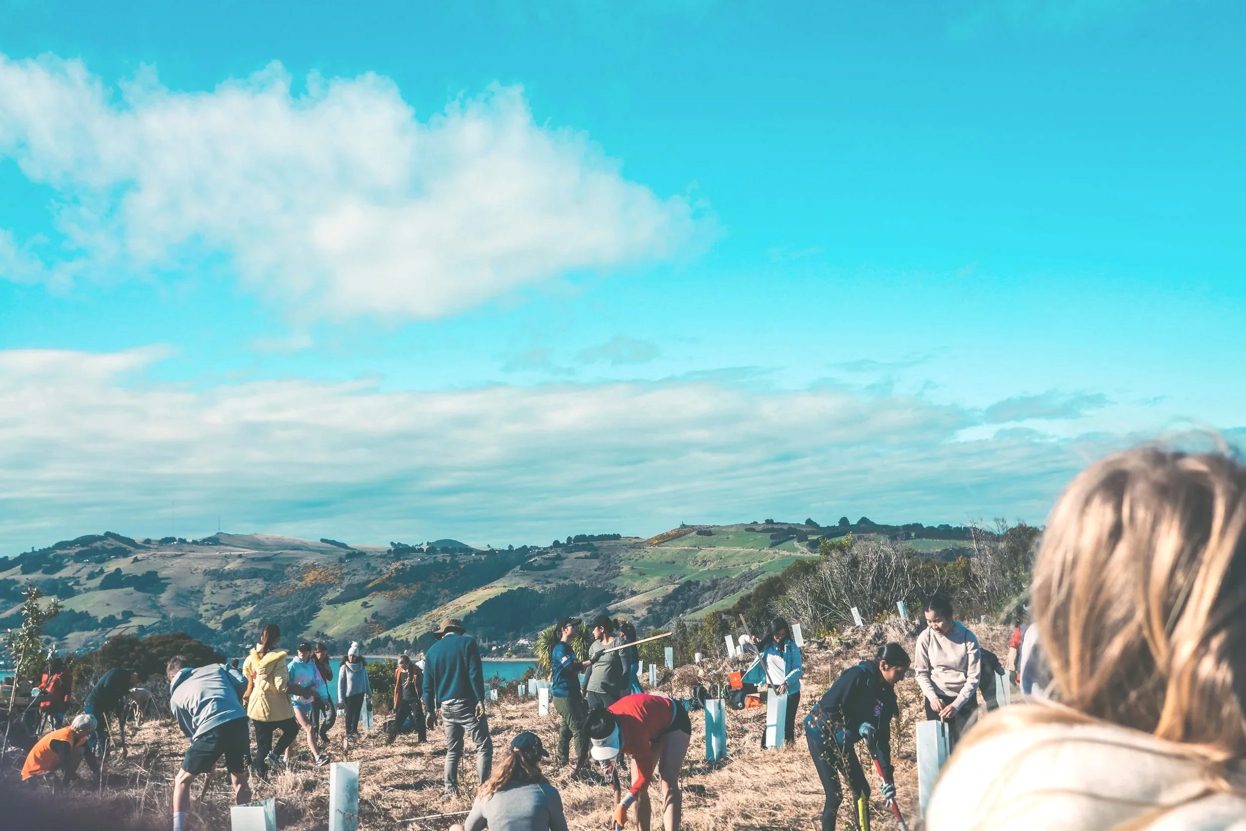 PDAY #2 (22 of 51).jpg