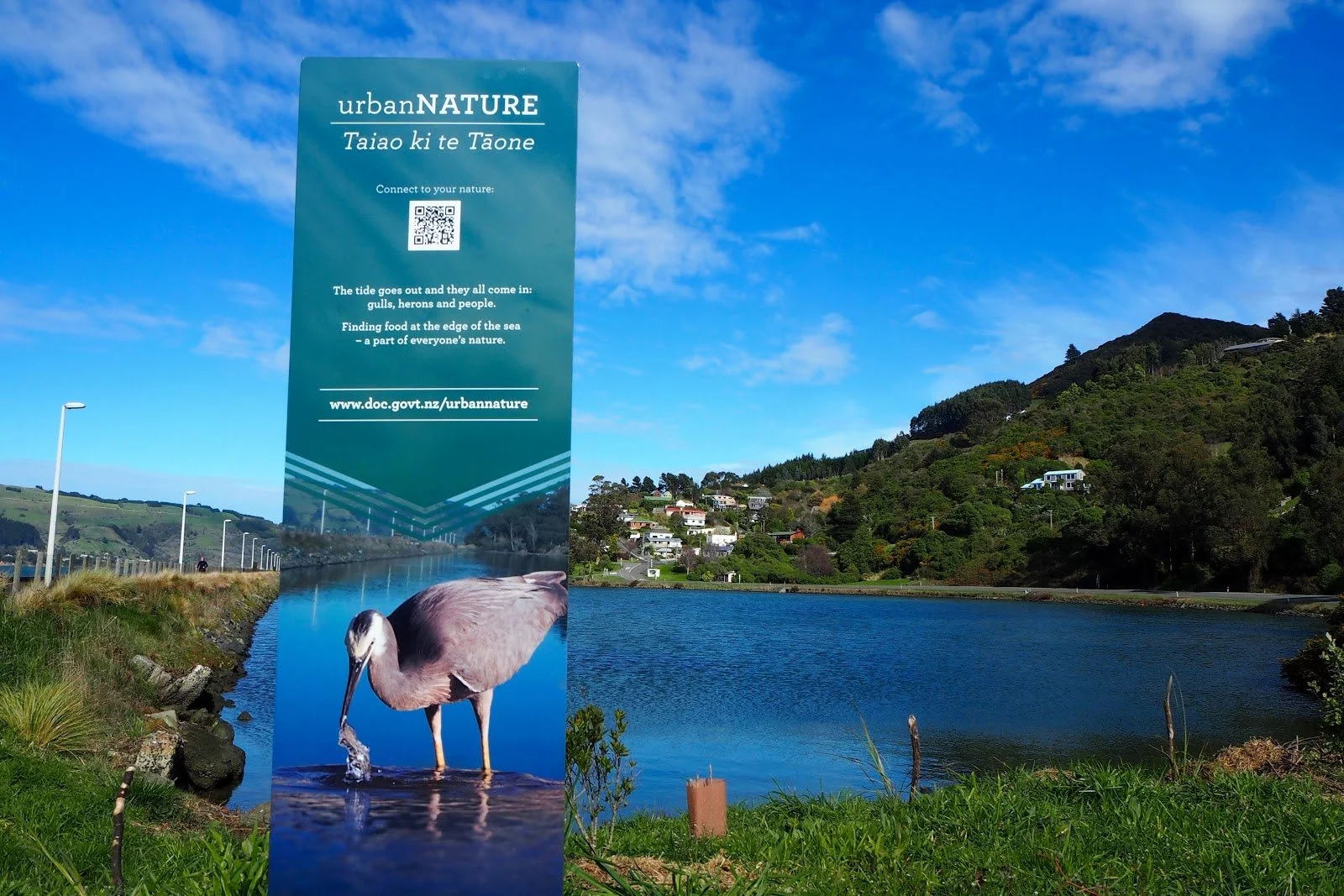 Panel Management Superstar - Urban Nature