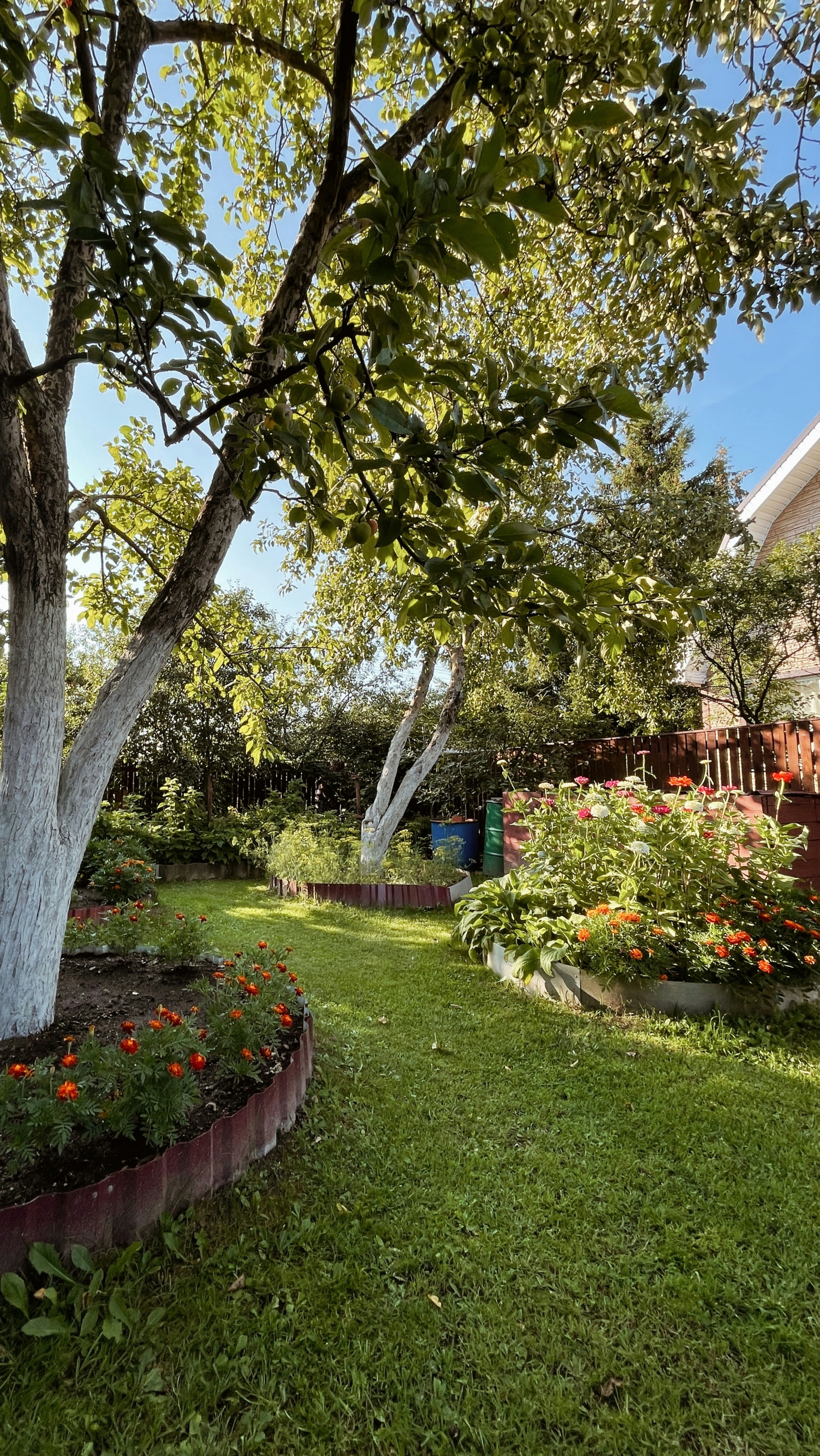 Trap installer - Aroha Kaikorai Valley