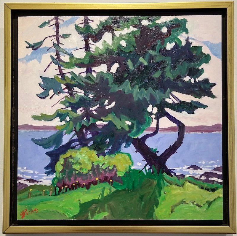 Summer Coastal Trees