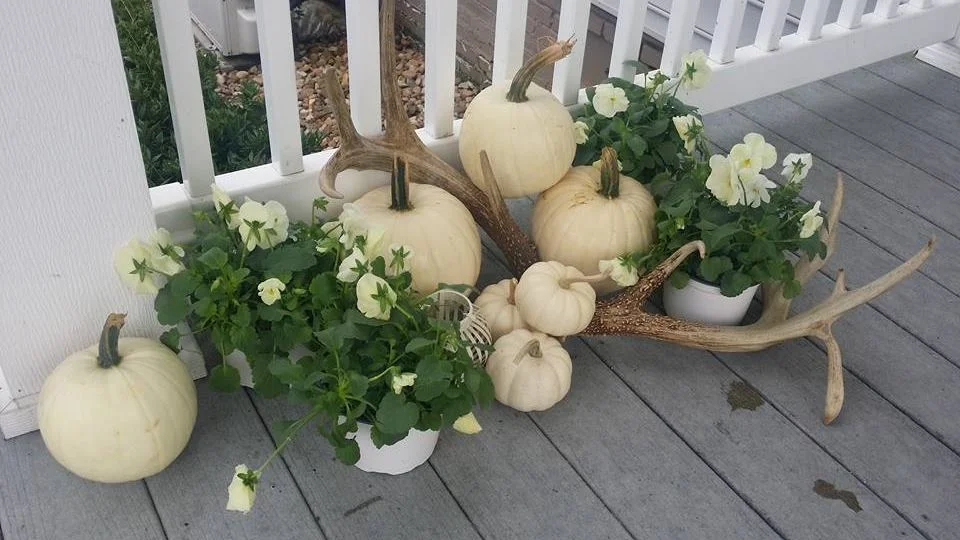 Planter’s Club