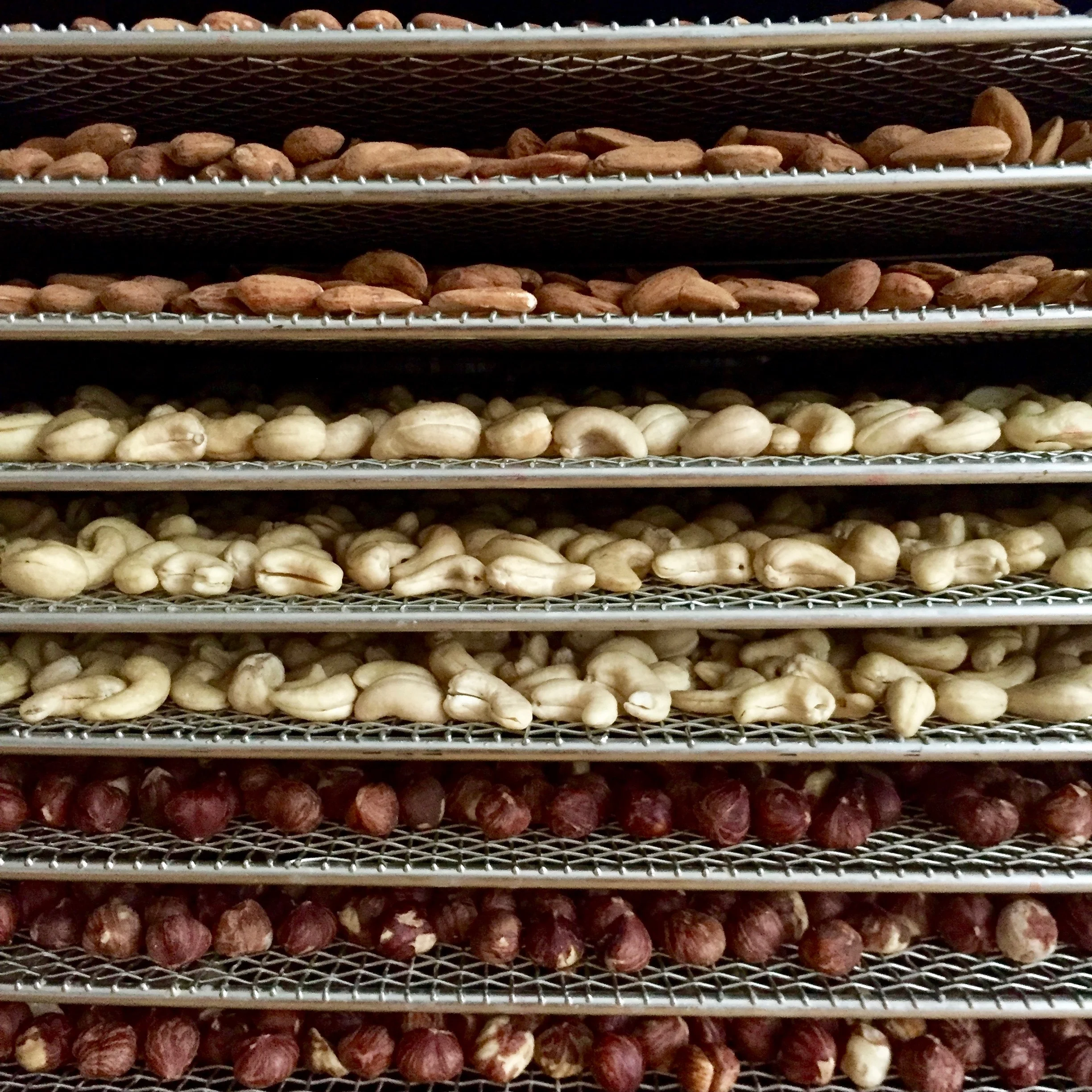 activated-nuts-full.jpg