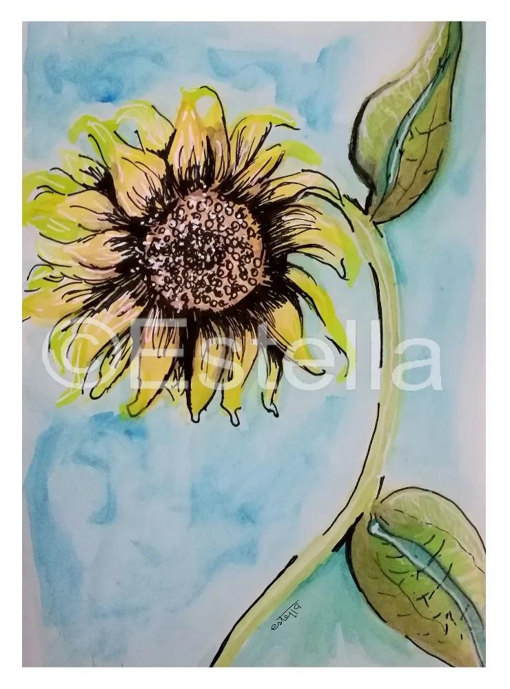 Sunflower - Watercolour and Ink Painting on paper