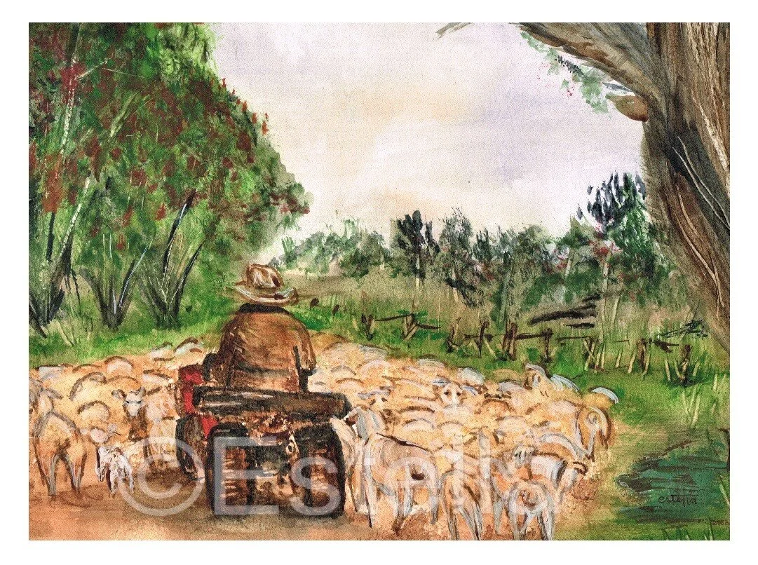 Paddock to Paddock - Watercolour on paper