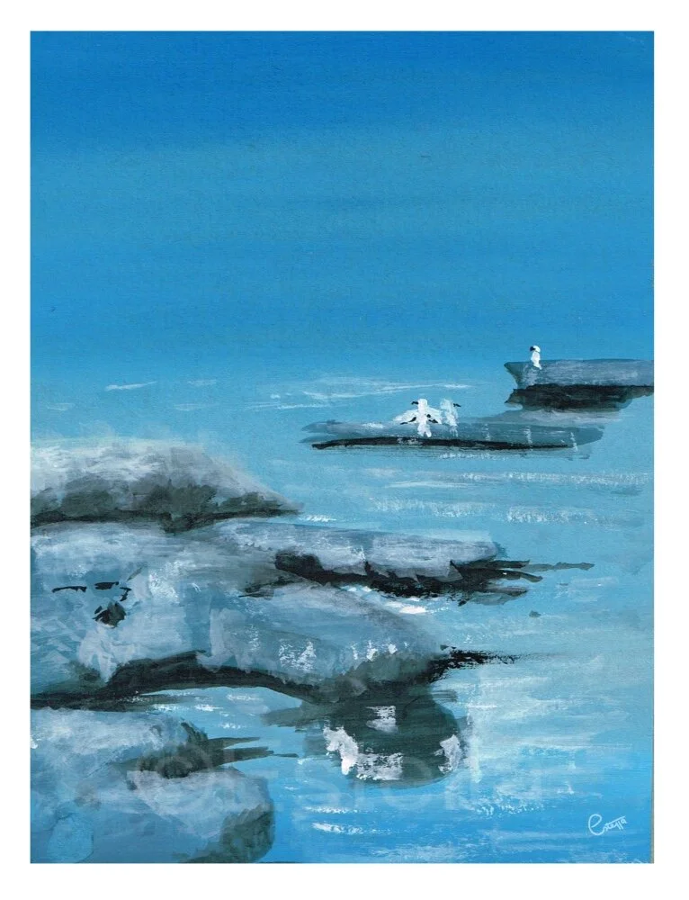 Sea Birds on the Rocks – Gouache Painting