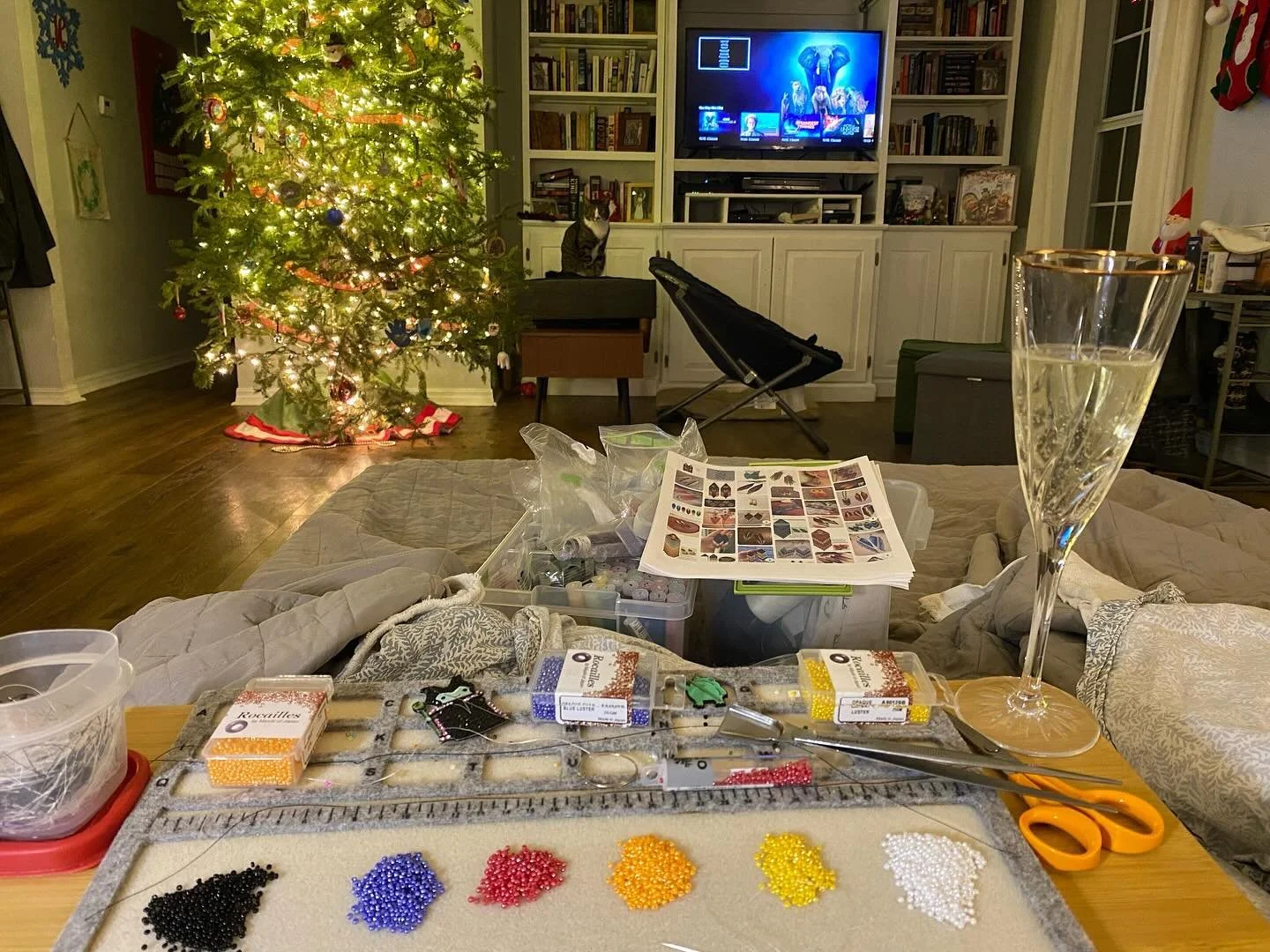 wrapped up the year with beading, a documentary about toads, & donations made with your help — $337 each to two worthy causes. yakoke for your support & stay tuned, 2025’s fundraiser starts soon!