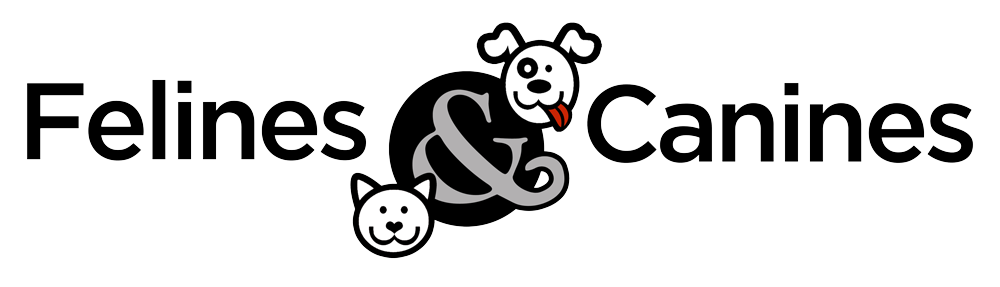 fc-logo.png