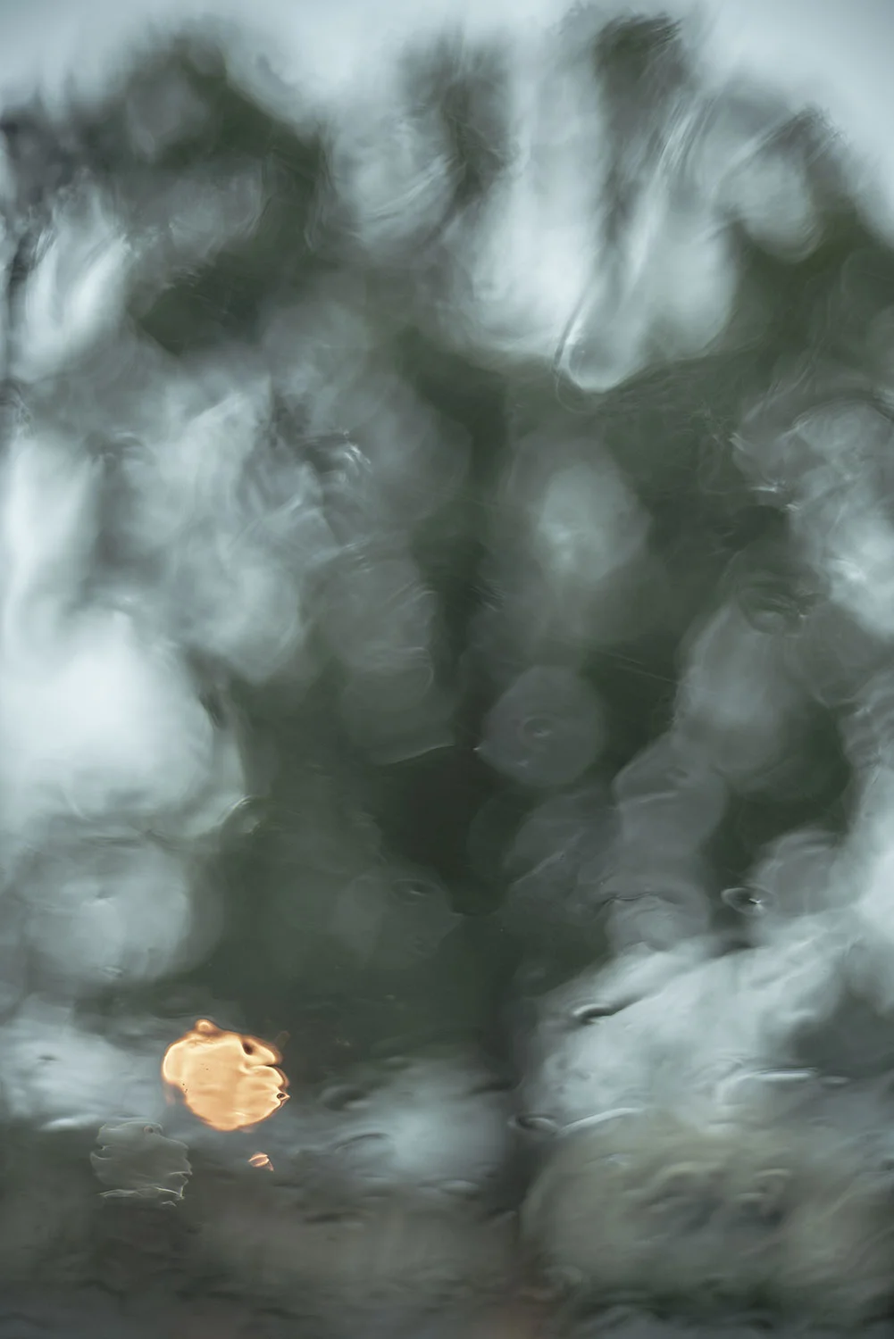 _DSC8388.jpg