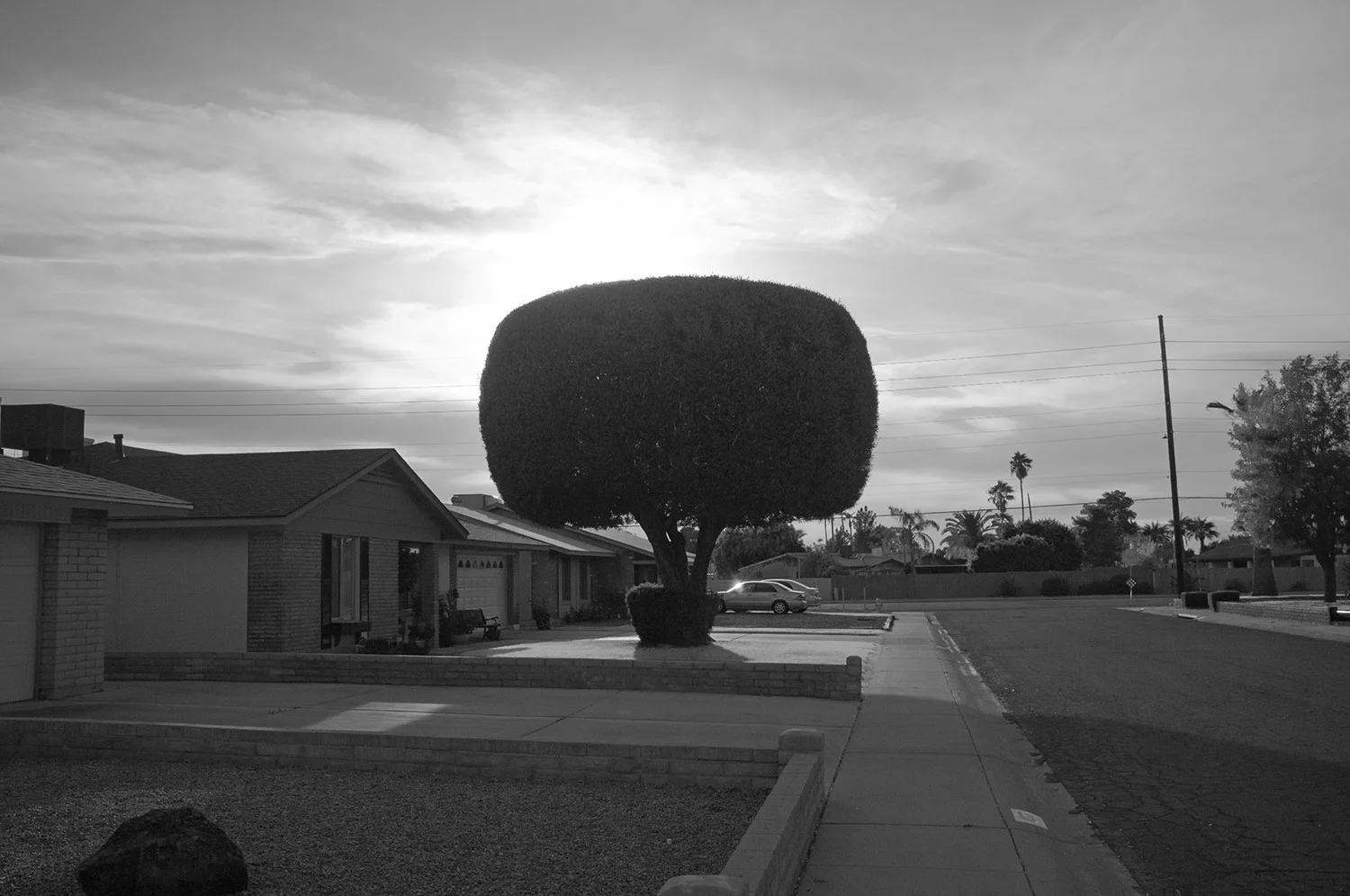 DSCF2595.jpg