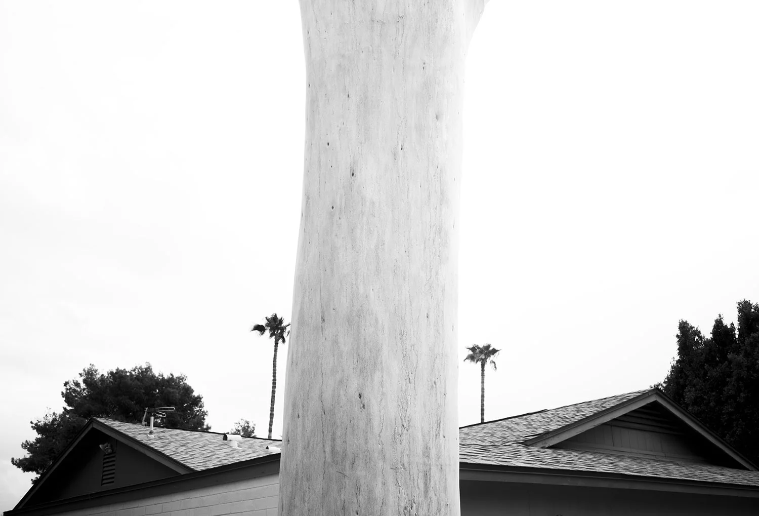 _DSC2879bbbb.jpg