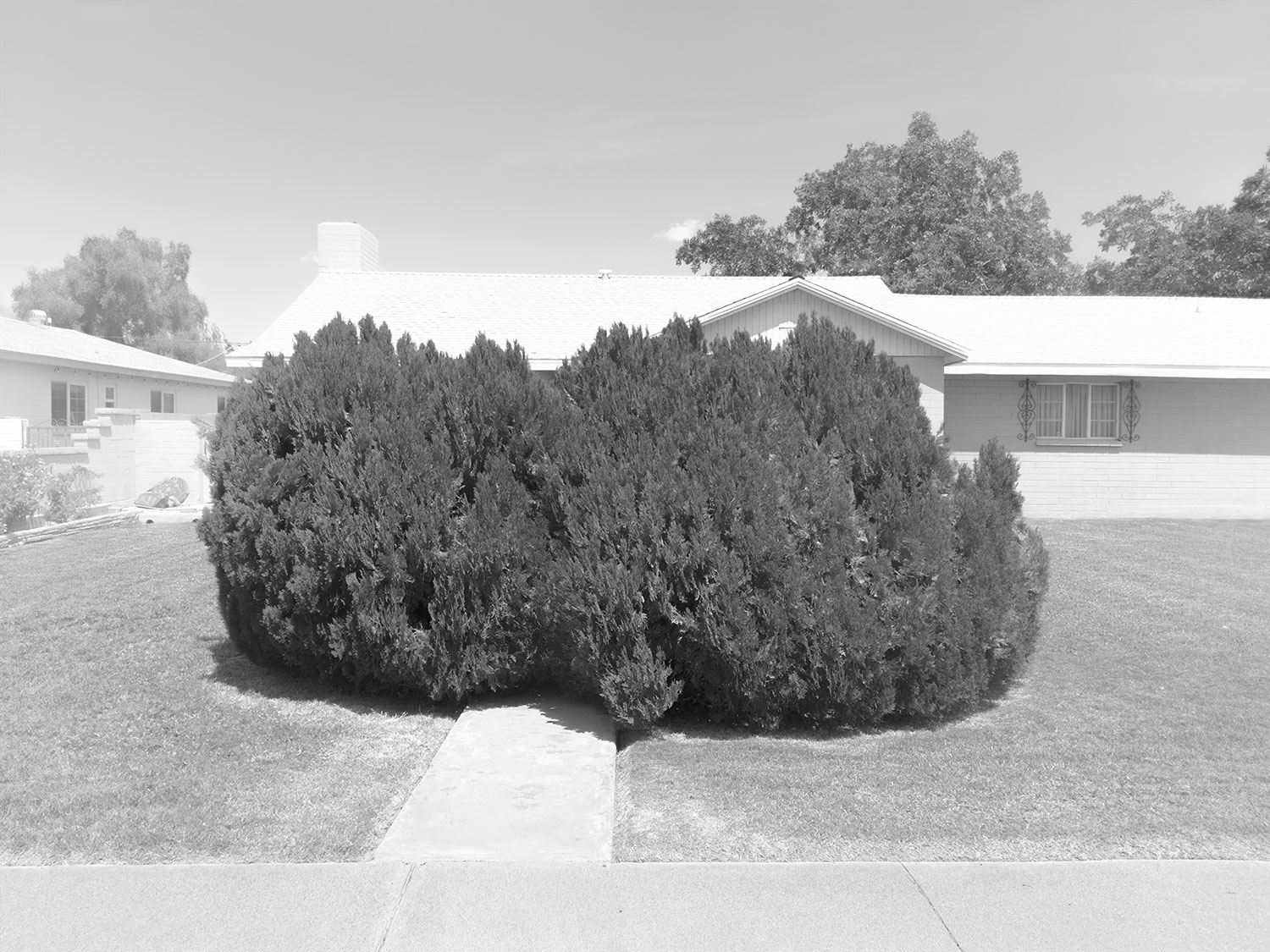 L16_01430bb.jpg