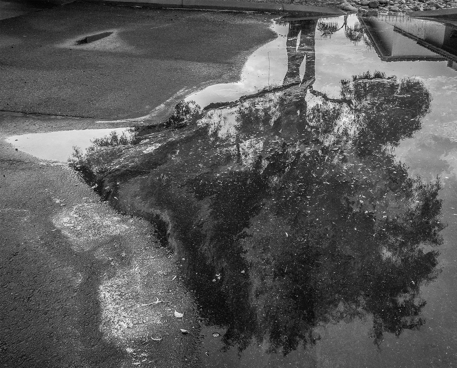 puddle.jpg