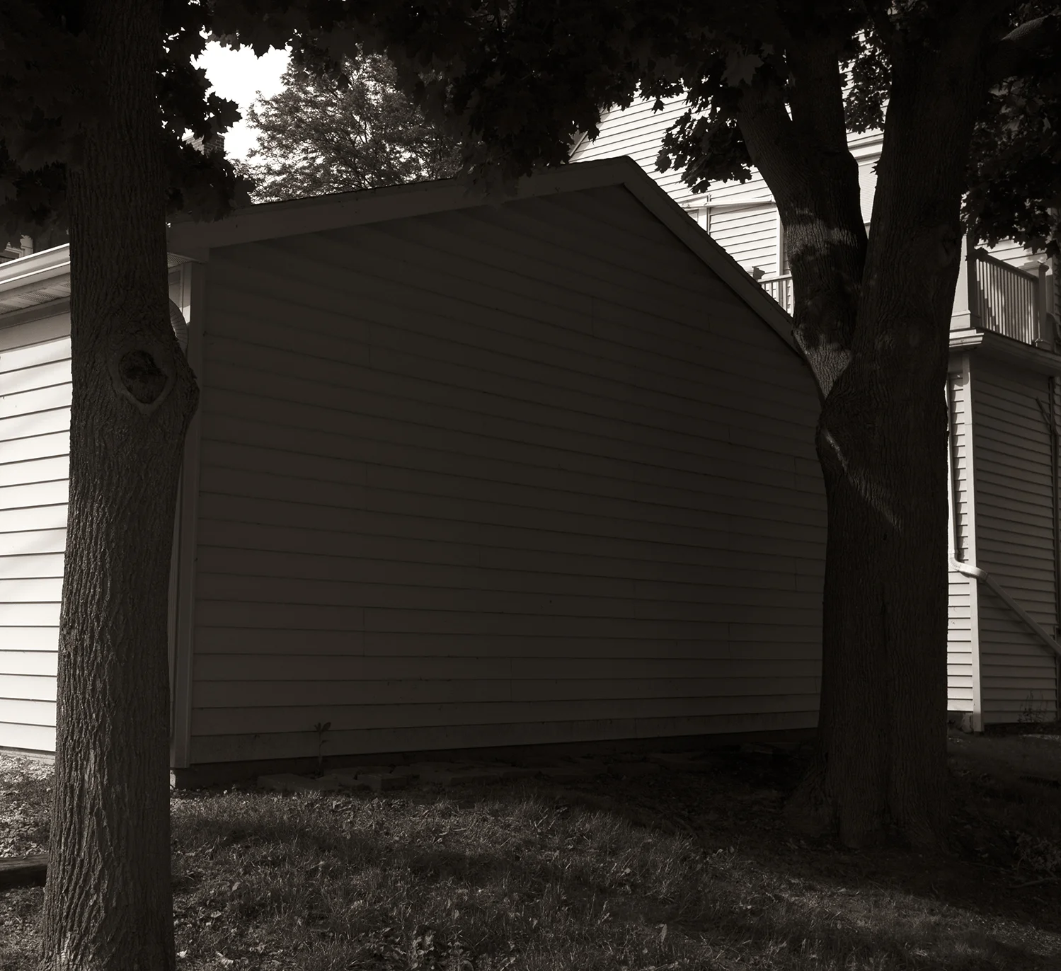 DSCF9315_1b.jpg