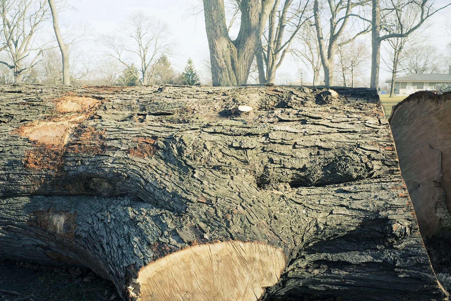 _DSC2034_1b.jpg