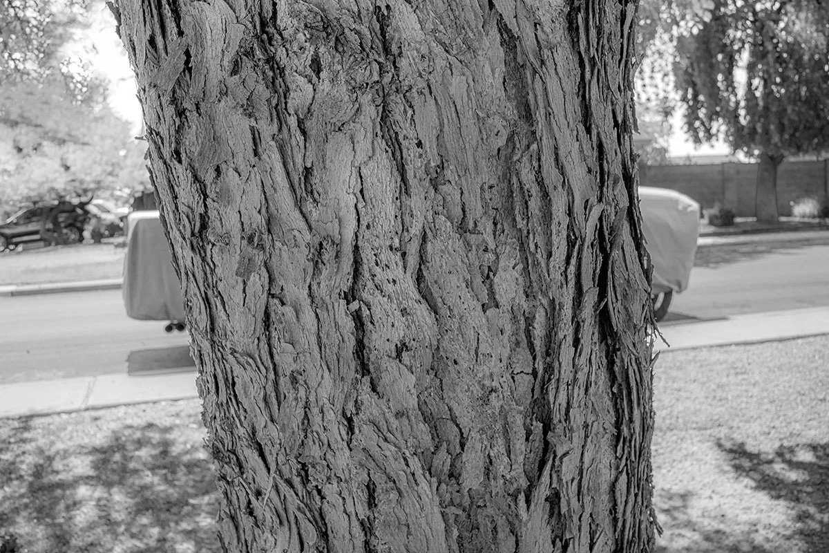 _DSC9156_3bbb.jpg