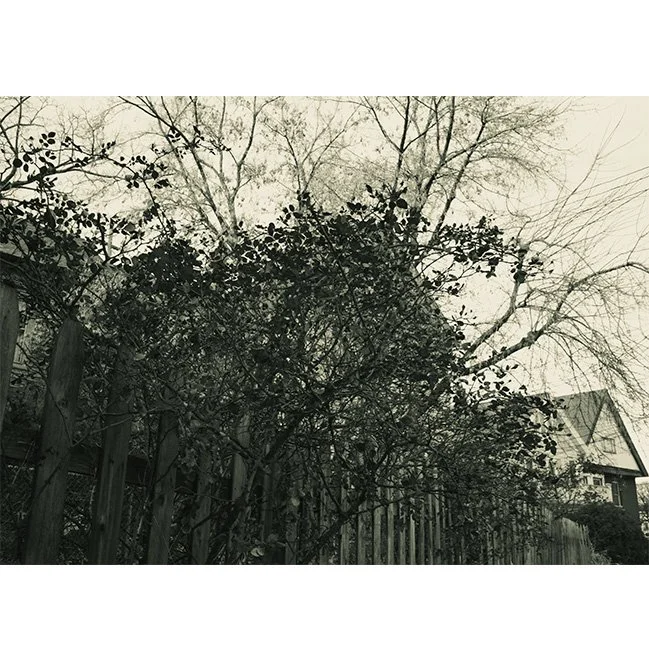 product-image-format_14.jpg