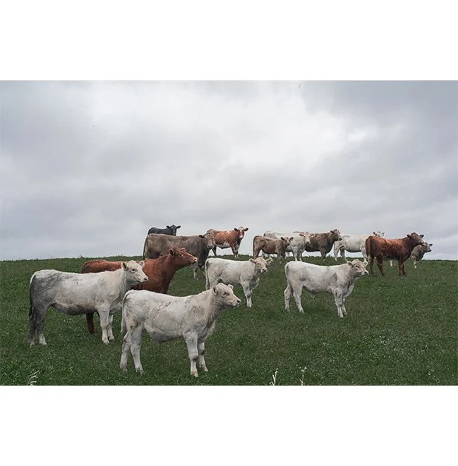 product-image-format_17.jpg