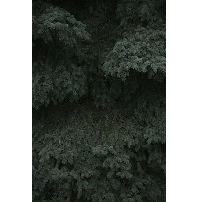 product-image-format_18.jpg