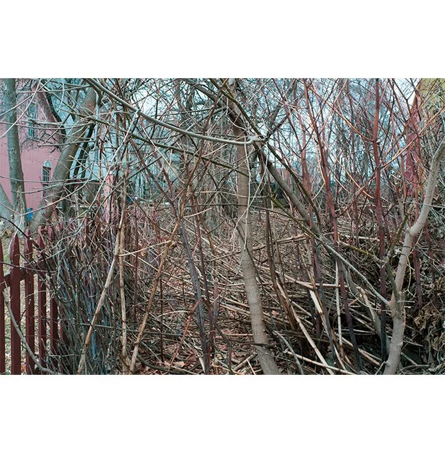 product-image-format_1.jpg