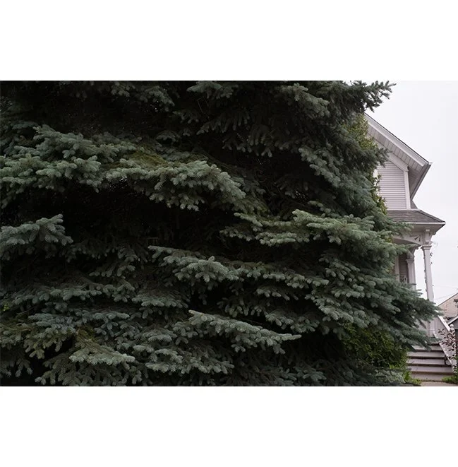 product-image-format_2.jpg