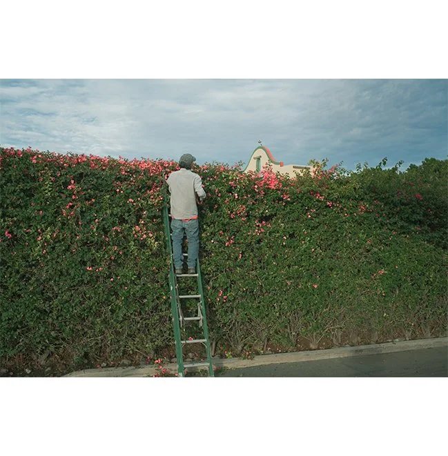 landscapers-view.jpg