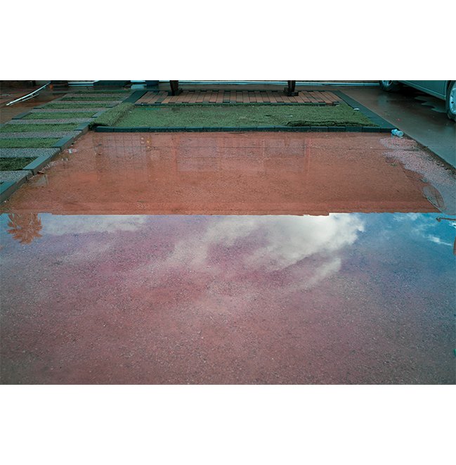 the-rains.jpg