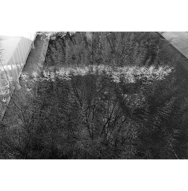 overpass-2018.jpg