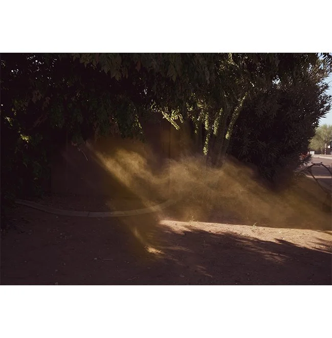 remnant-2019.jpg