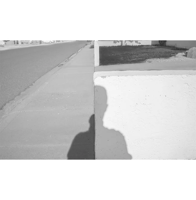 self-split-2016.jpg